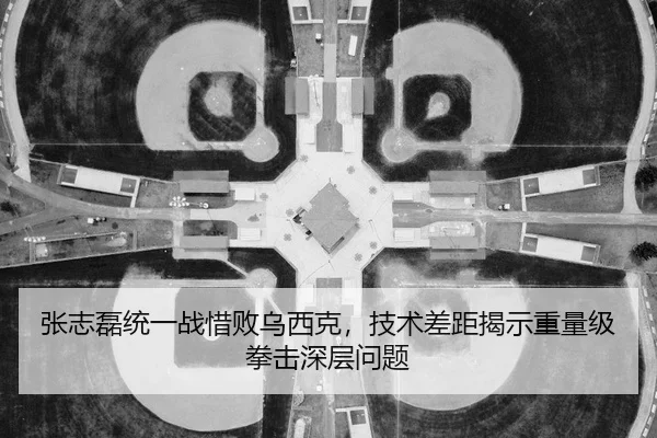 zhang-zhi-lei-tong-yi-zhan-xi-bai-wu-xi-ke-ji-shu-cha-ju-jie-shi-zhong-liang-ji-quan-ji-shen-ceng-wen-ti-2-529.jpg